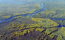 Pantanal : immersion sauvage au coeur d'une nature d'exception