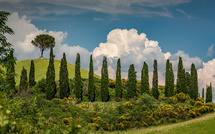 Séjour en Toscane : comment trouver le camping idéal à Viareggio ?