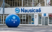 Nausicaá : près de 300 000 visiteurs cet été, une fréquentation stable en 2026