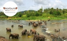 Sri Lanka : les incontournables de l’île aux mille visages avec Karibuni