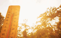 Canicule 2026 : la filière événementielle mesure son impact