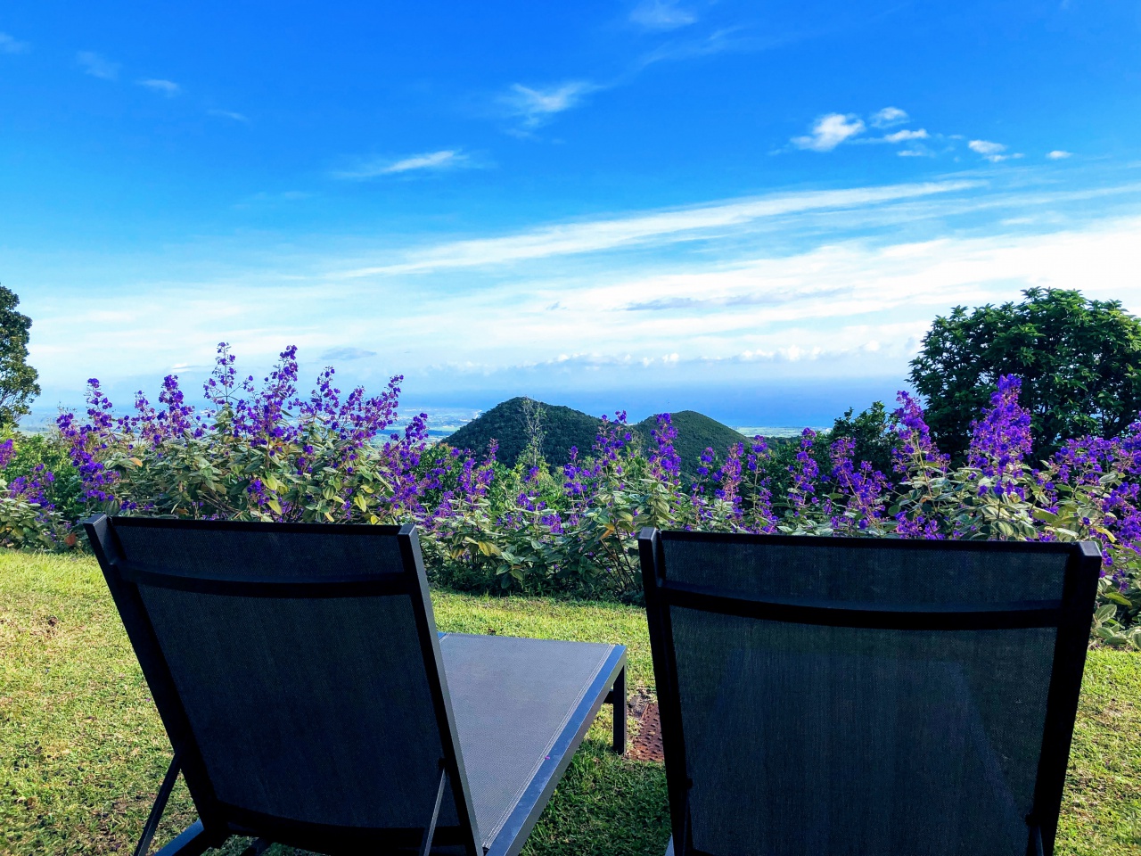 Diana Dea Lodge, une adresse exceptionnelle