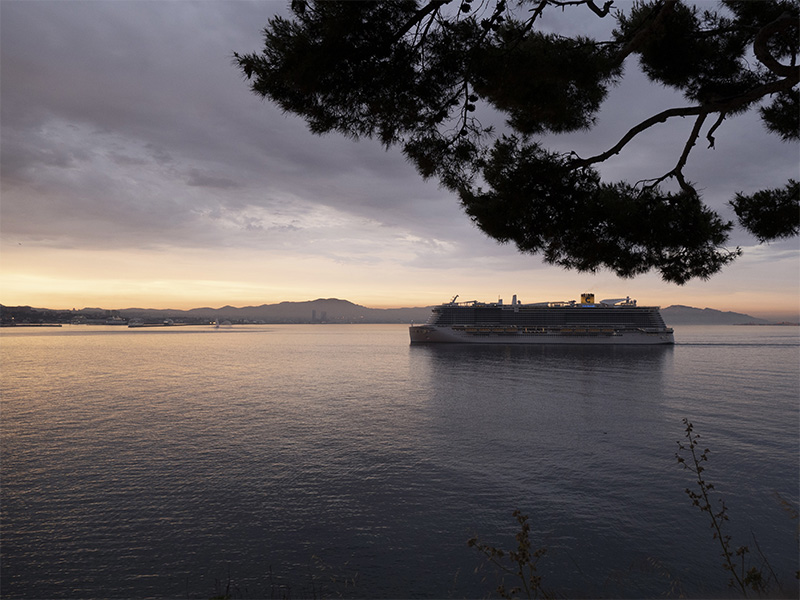 image00001_800 image00001_800