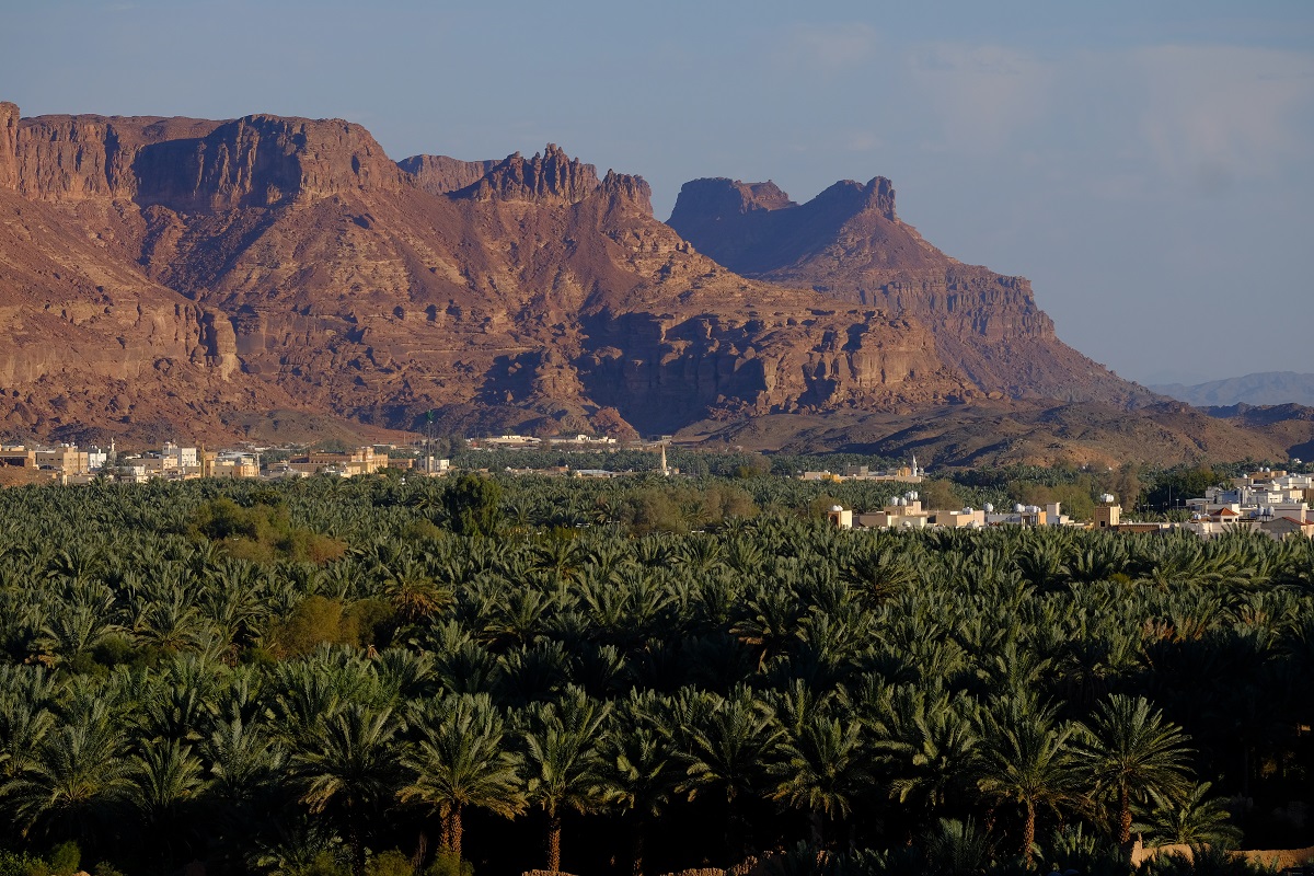 Oasis AlUla