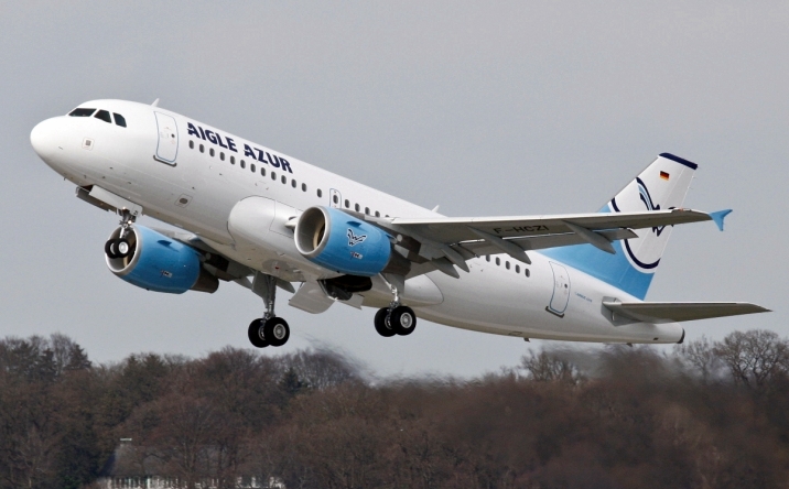 A319 en vol.jpg